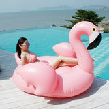 Giant Flamingo/Swan Swimming Pool Float