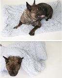 Plush Dog Soft Bed Mat
