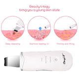 Ultrasonic SkinSkin Peeling Extractor Facial Deep Cleaning Skin Rejuvenation Face Mist