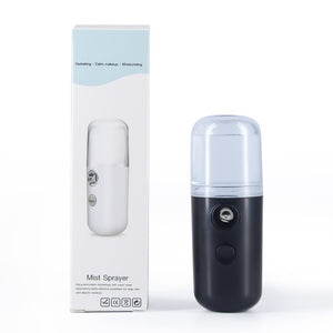 Mini USB Face Steamer